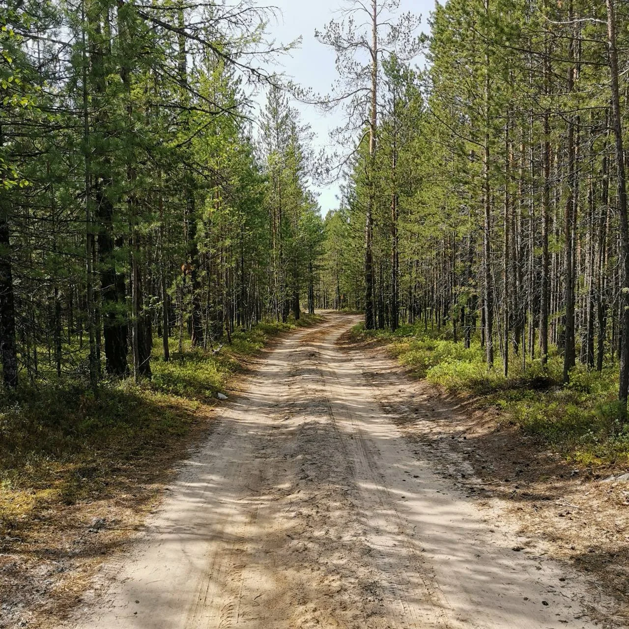 Доброе утро! 🌲☀

Пусть сегодняшний маршрут будет простым: кофе → работа → хорошее настроение 😊

Фо