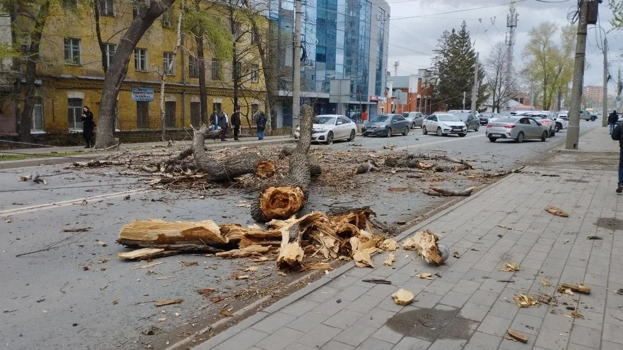 Упавшая из-за урагана остановка едва не убила мужчину во Владимирской области (1 видео). Из-за паден