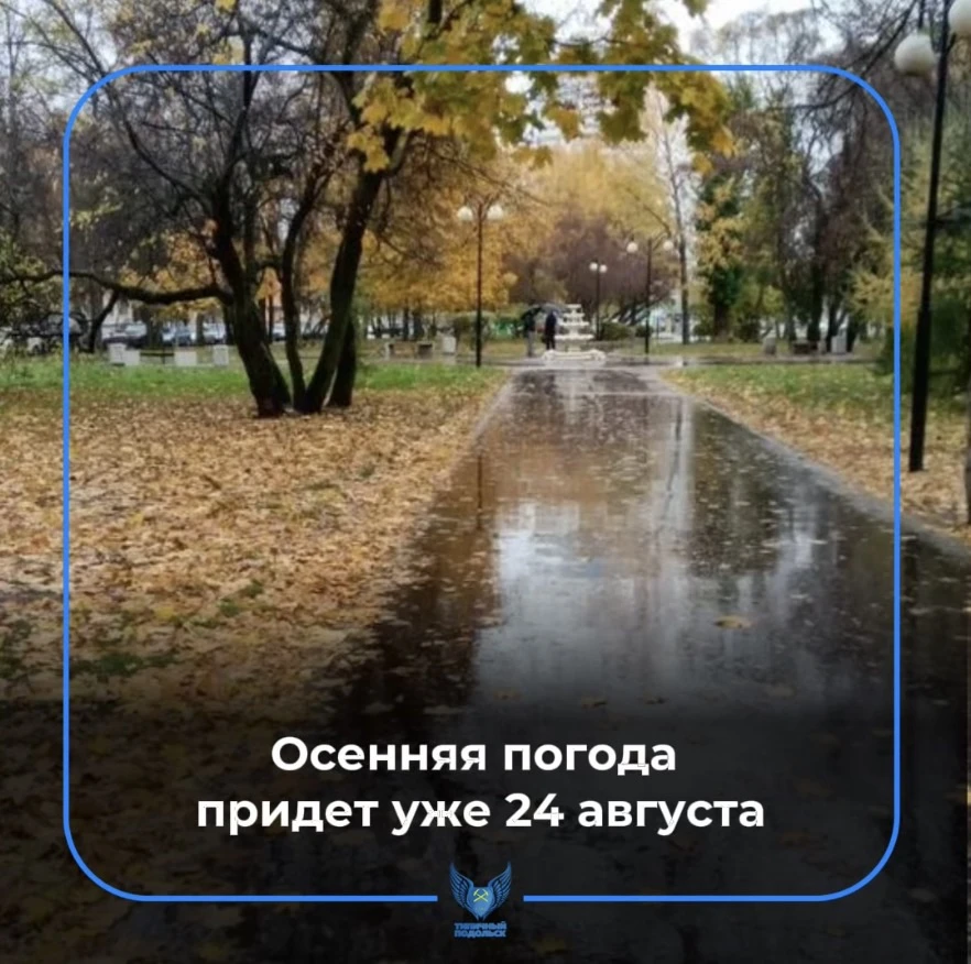 🧣 Осенняя погода придёт в Подольск уже с 24 августа, предупреждают синоптики