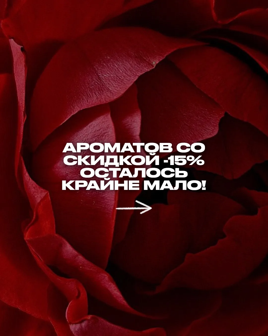 Наша «БИТВА ХИТОВ» в самом разгаре ❤️‍🔥