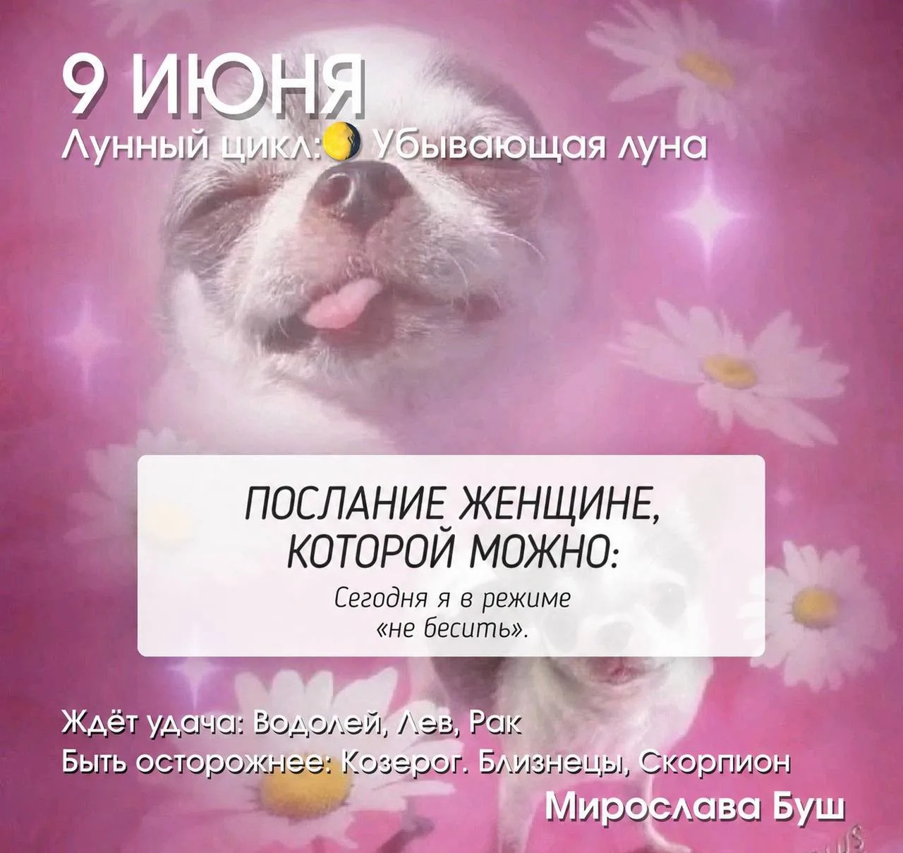 9 июня РЕКОМЕНДАЦИИ 🔥