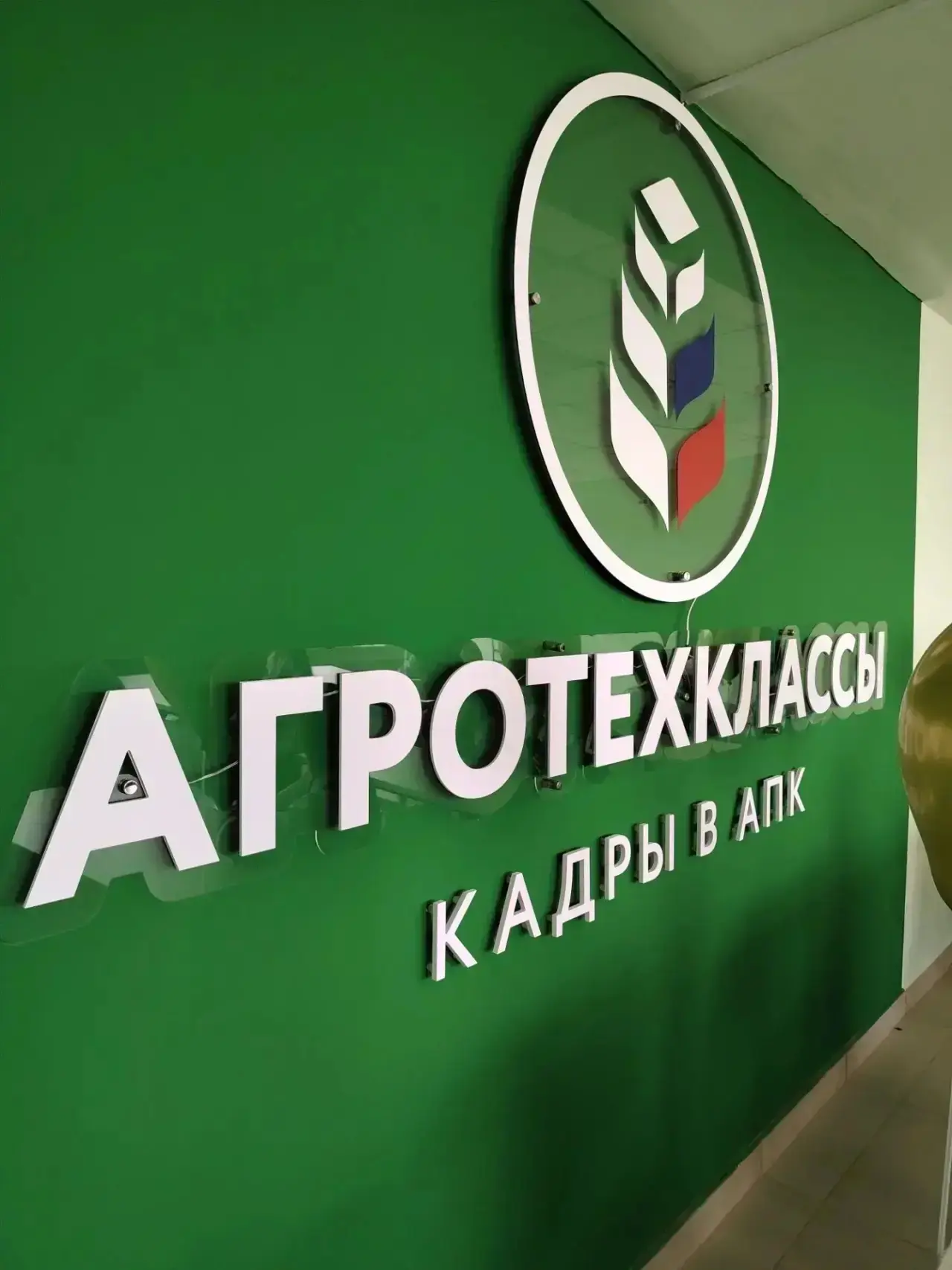 🌱🎓Сегодня в Амгинской средней школы №1 имени В.Г. Короленко состоялось торжественное ...