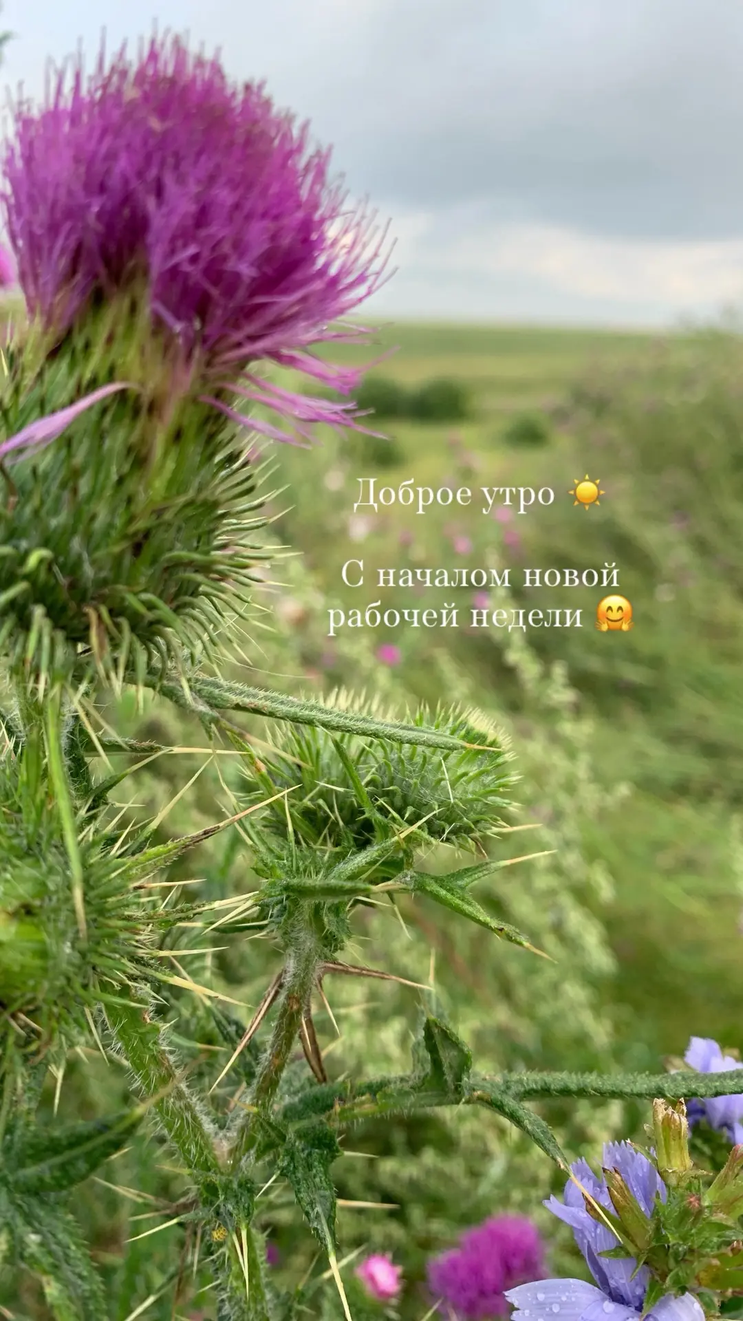 Доброе утречко 🤗 всем отличного дня