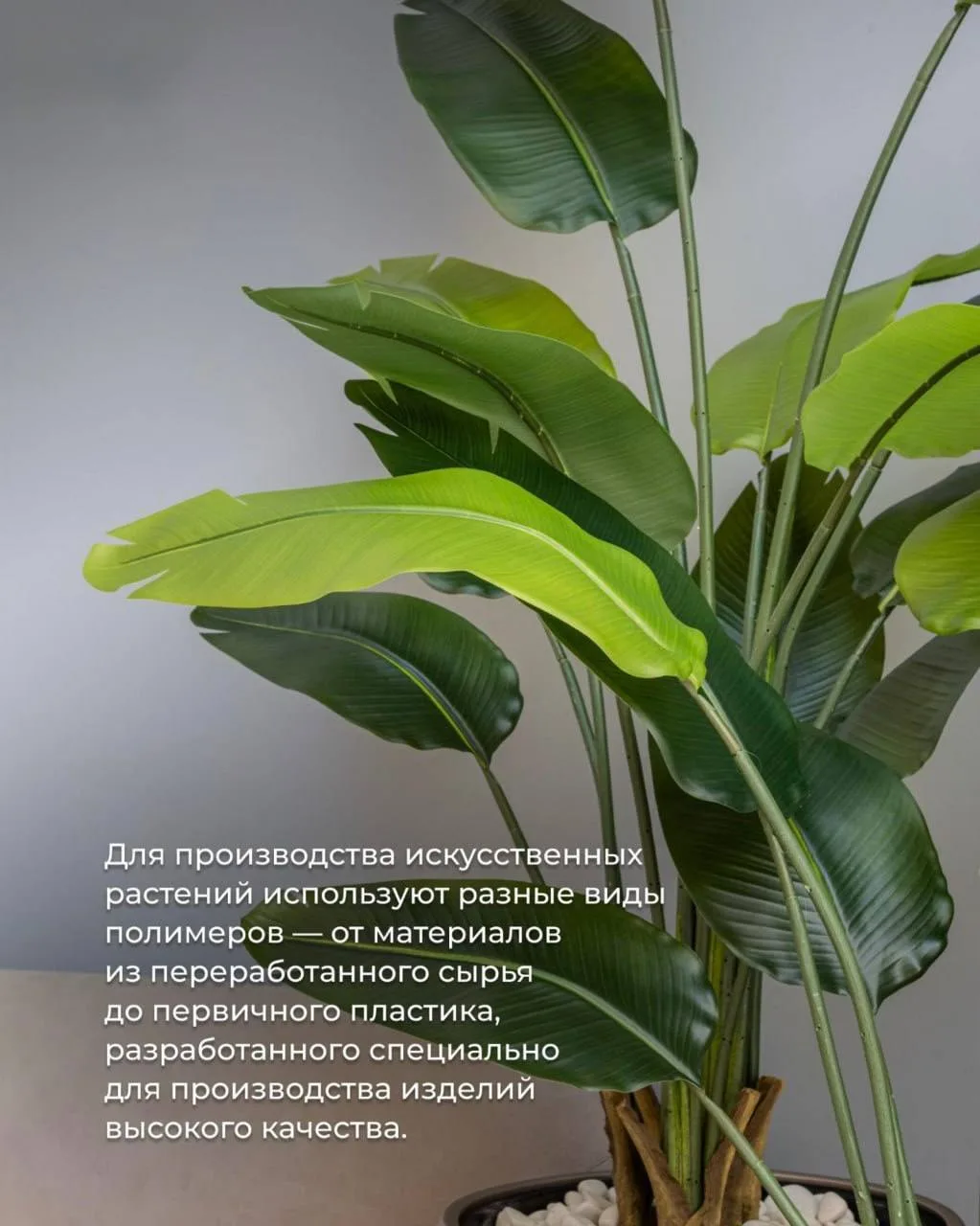Почему искусственные растения выглядят как живые 🍀