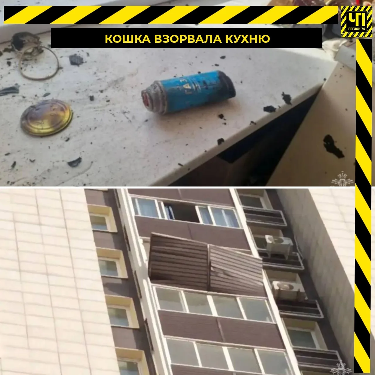 🐈 Кошка случайно взорвала кухню в квартире
