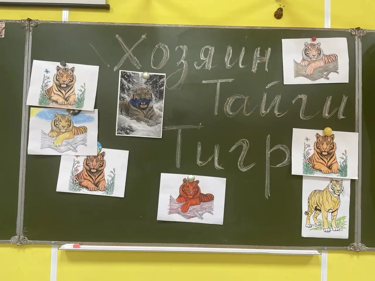 В рамках клуба «Содружество народов России. Дальний Восток» в 9г  и  6б были проведены ...