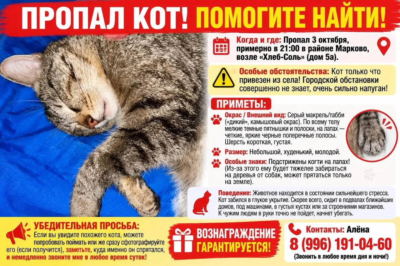может видели?