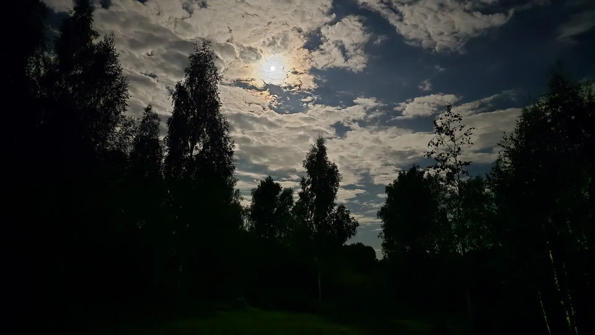 Светлая ночь