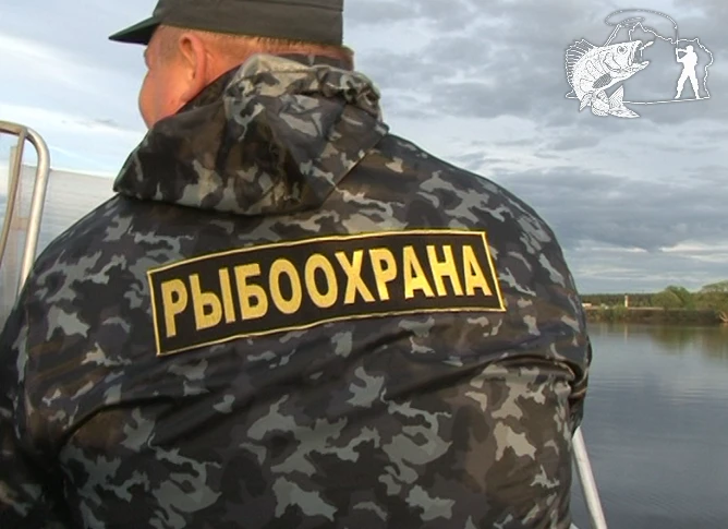 Выявлено 80 административных правонарушений


В период с 04.06.2026 по 10.06.2026  отделами государс