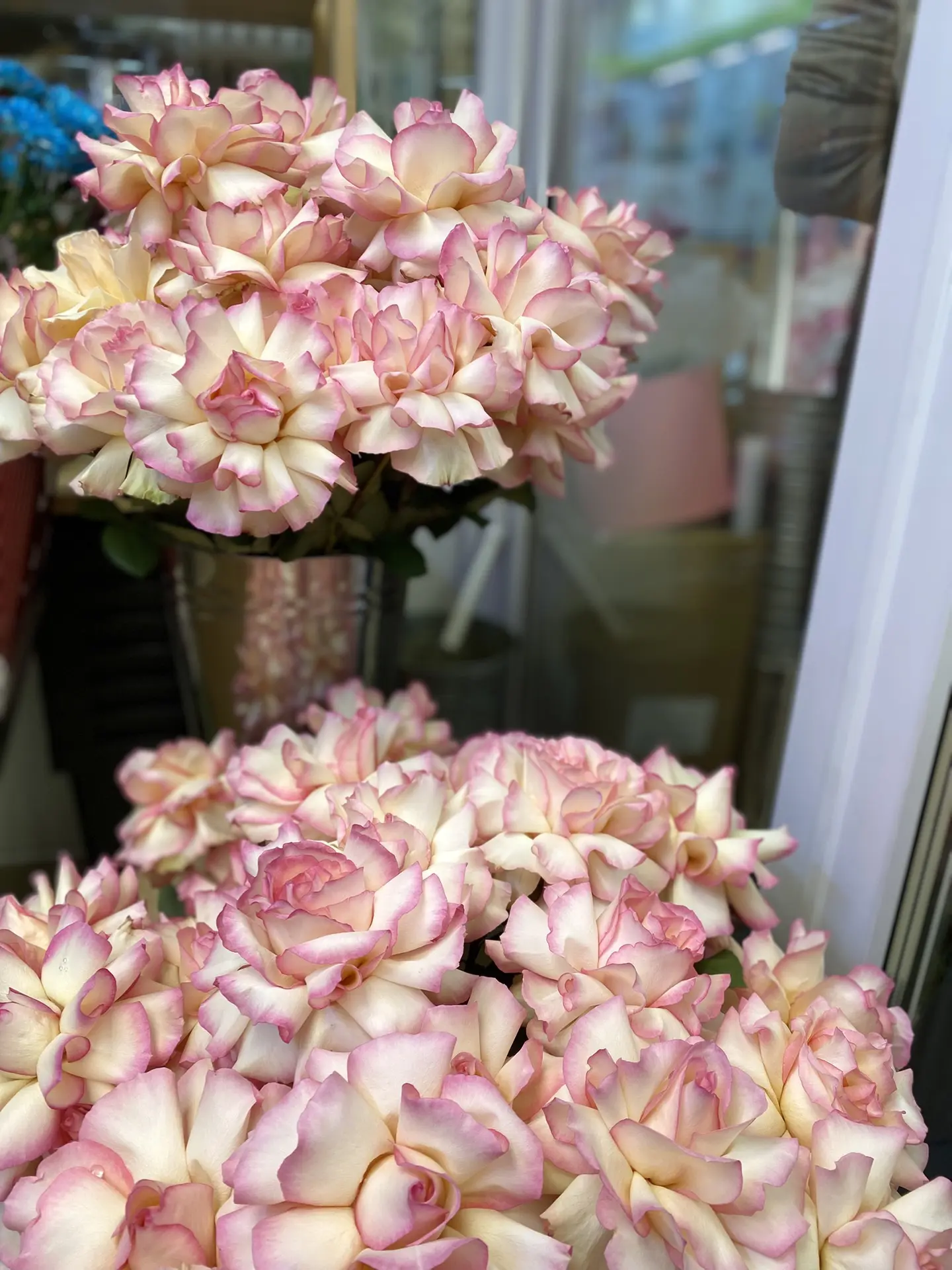 В наличии шикарная французская Роза 😍✨