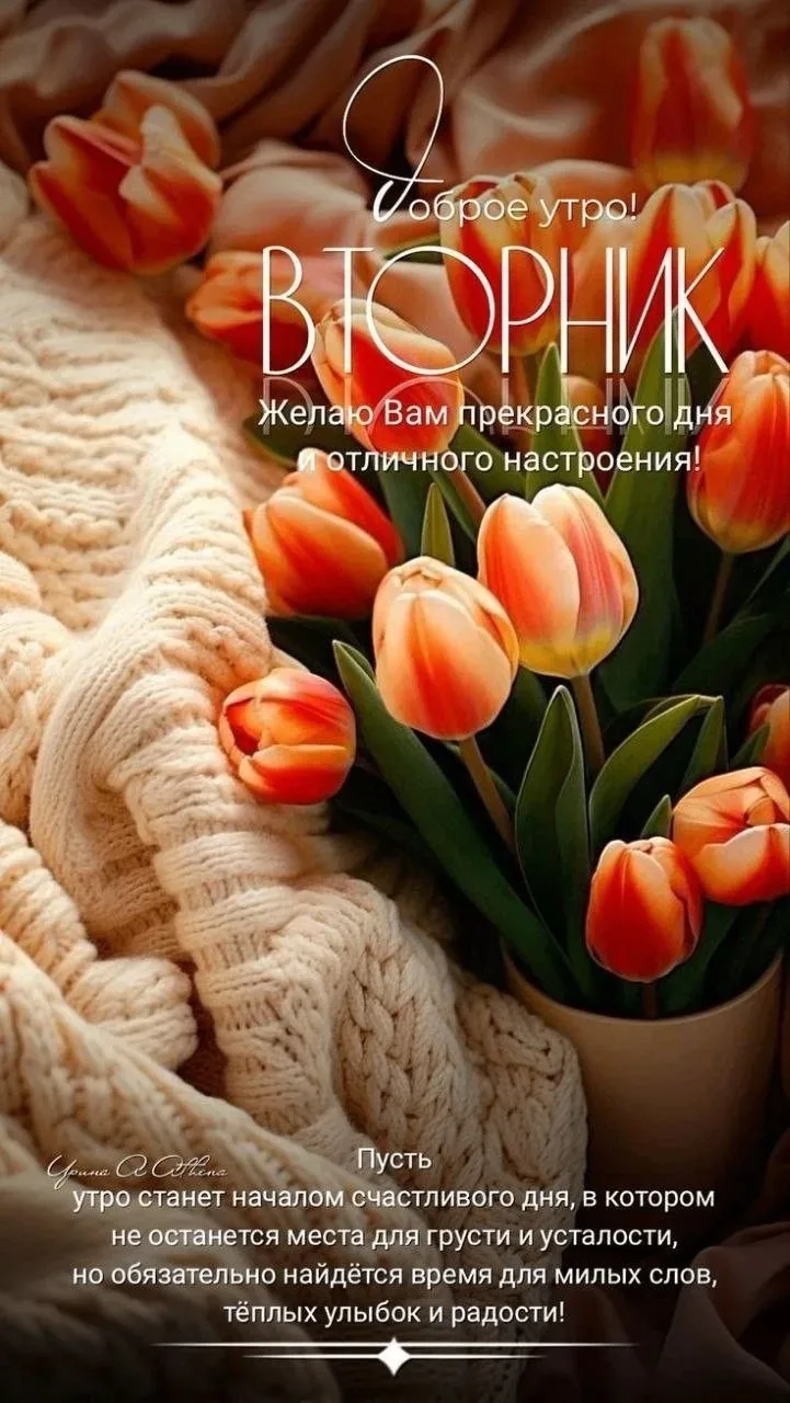 🥰 Ставьте реакции и делитесь открыткой с близкими ❤️

💌 Лучшие Открытки в MAX! 👉 Подписаться