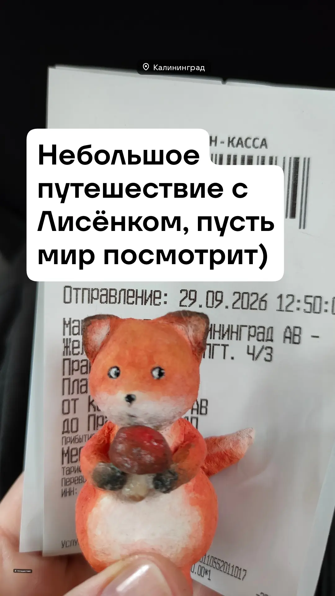 #путешествие #туризм #калининград #прогулки #лисичка