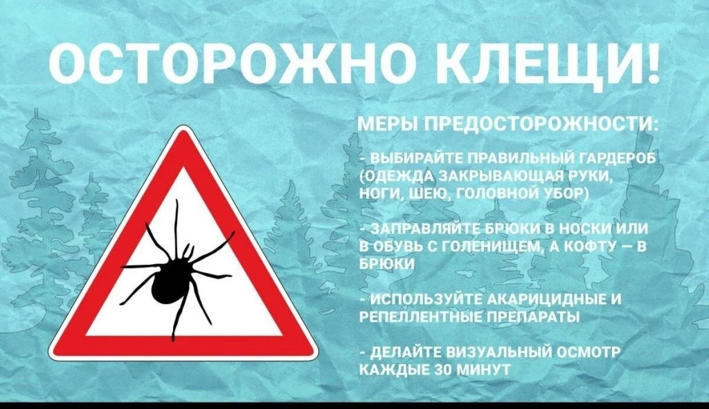Информационный материал по безопасности жизнедеятельности