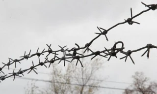 Жительница Свободного отправится в колонию за долг по алиментам в 100 000 рублей