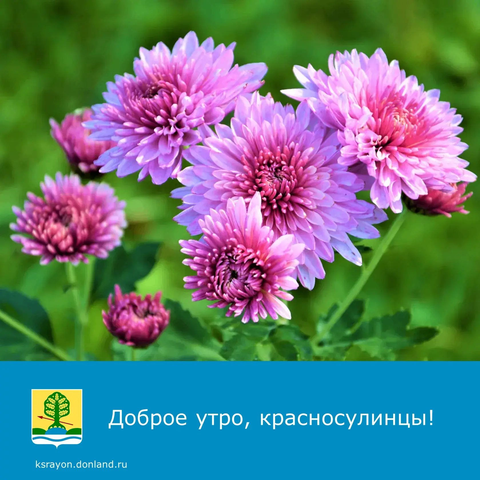 Доброе утро! На календаре 16 сентября.