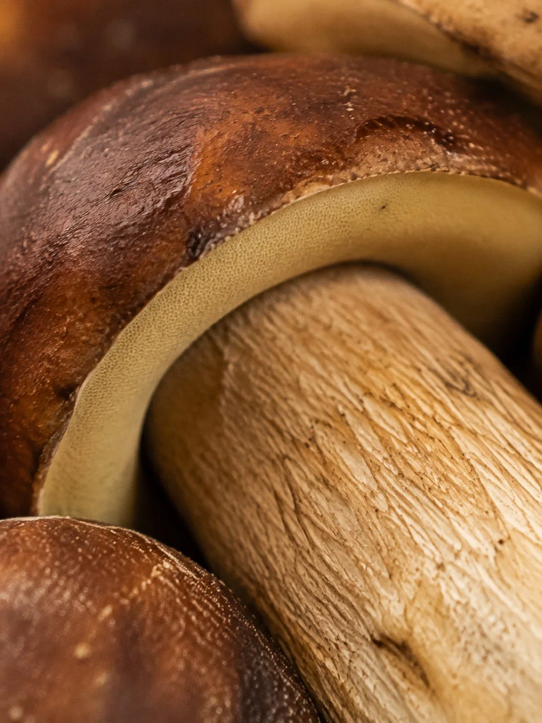🥨 🍯 Иногда, чтобы увидеть масштаб, достаточно посмотреть на то, что у нас на тарелке
