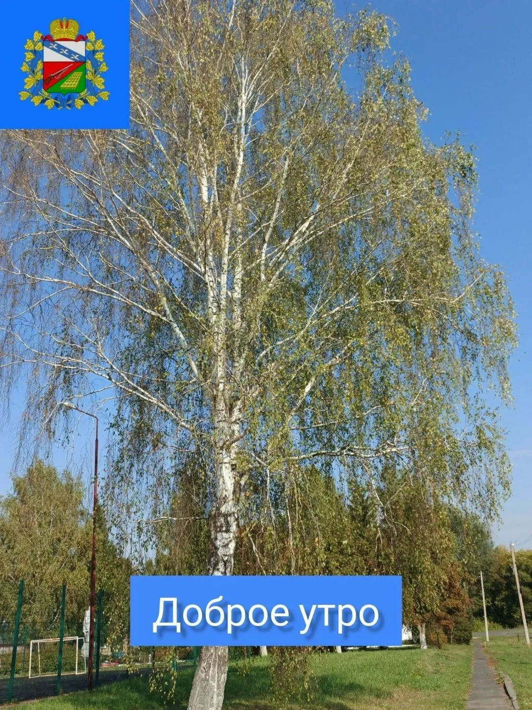 🍂ДОБРОЕ УТРО