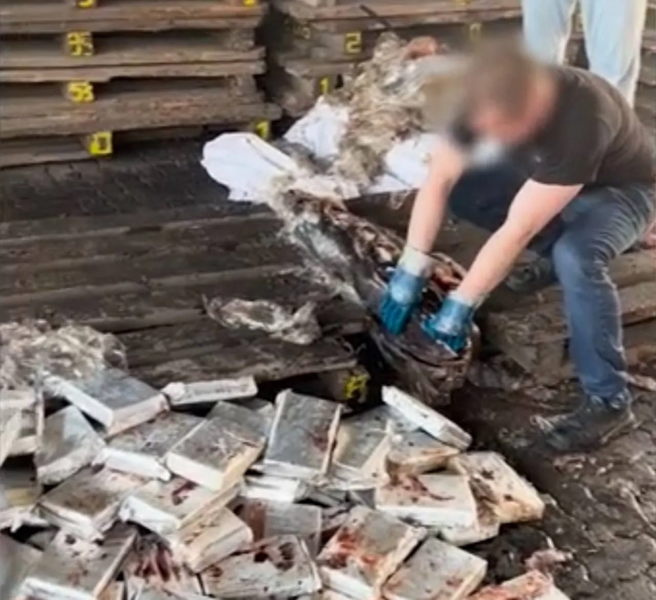 В Питере в порту нашли 500 кг кокаина в тушках замороженного тунца из Эквадора