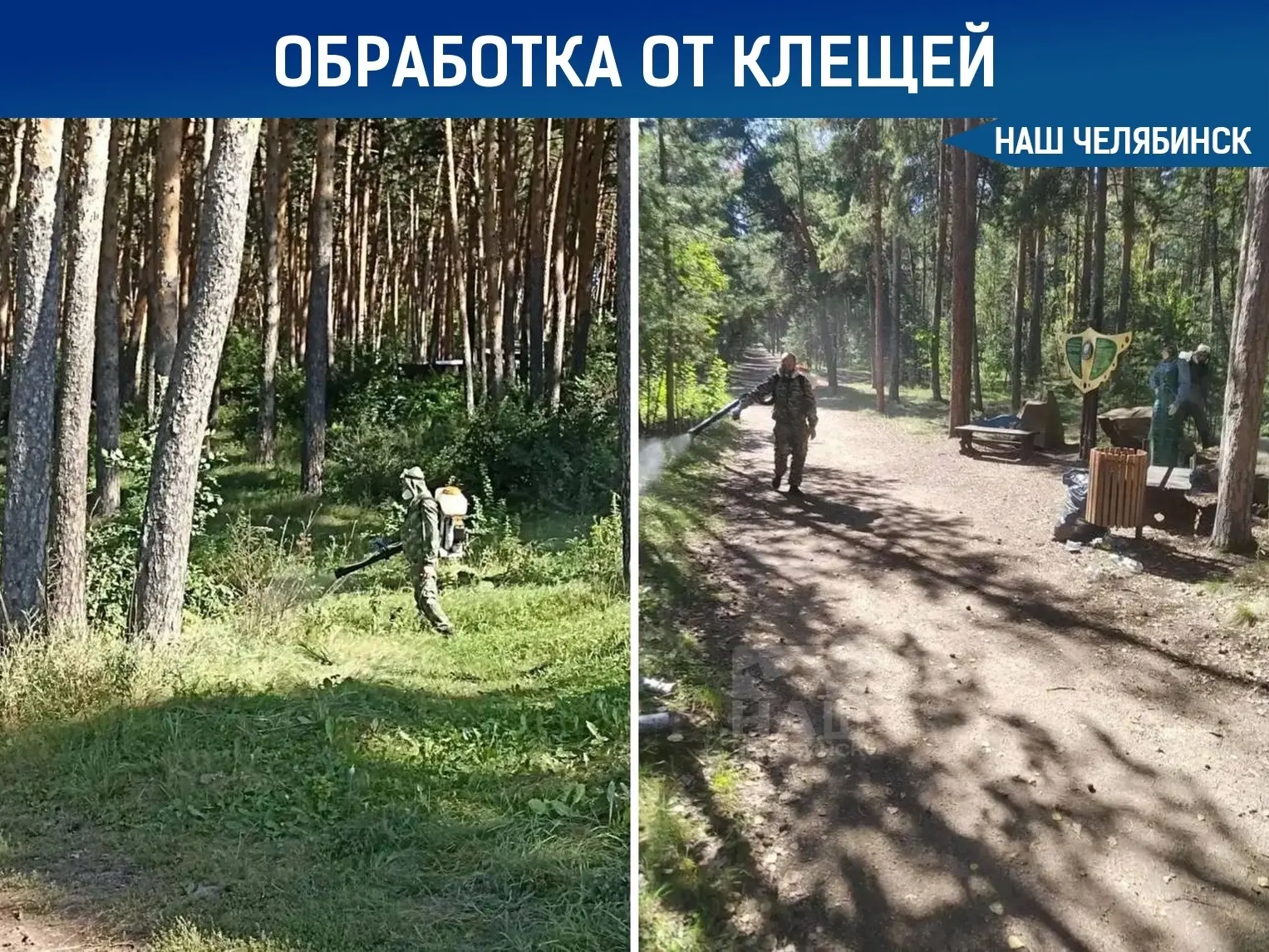 🕷️ Экотропы в Челябинской области обработали от клещей