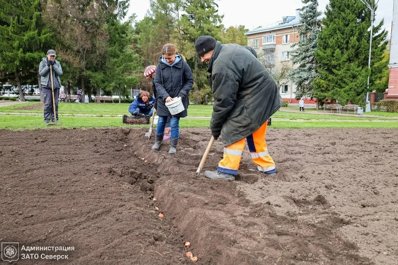 В Северске дан старт подготовке к цветочному оформлению города на 2027 год