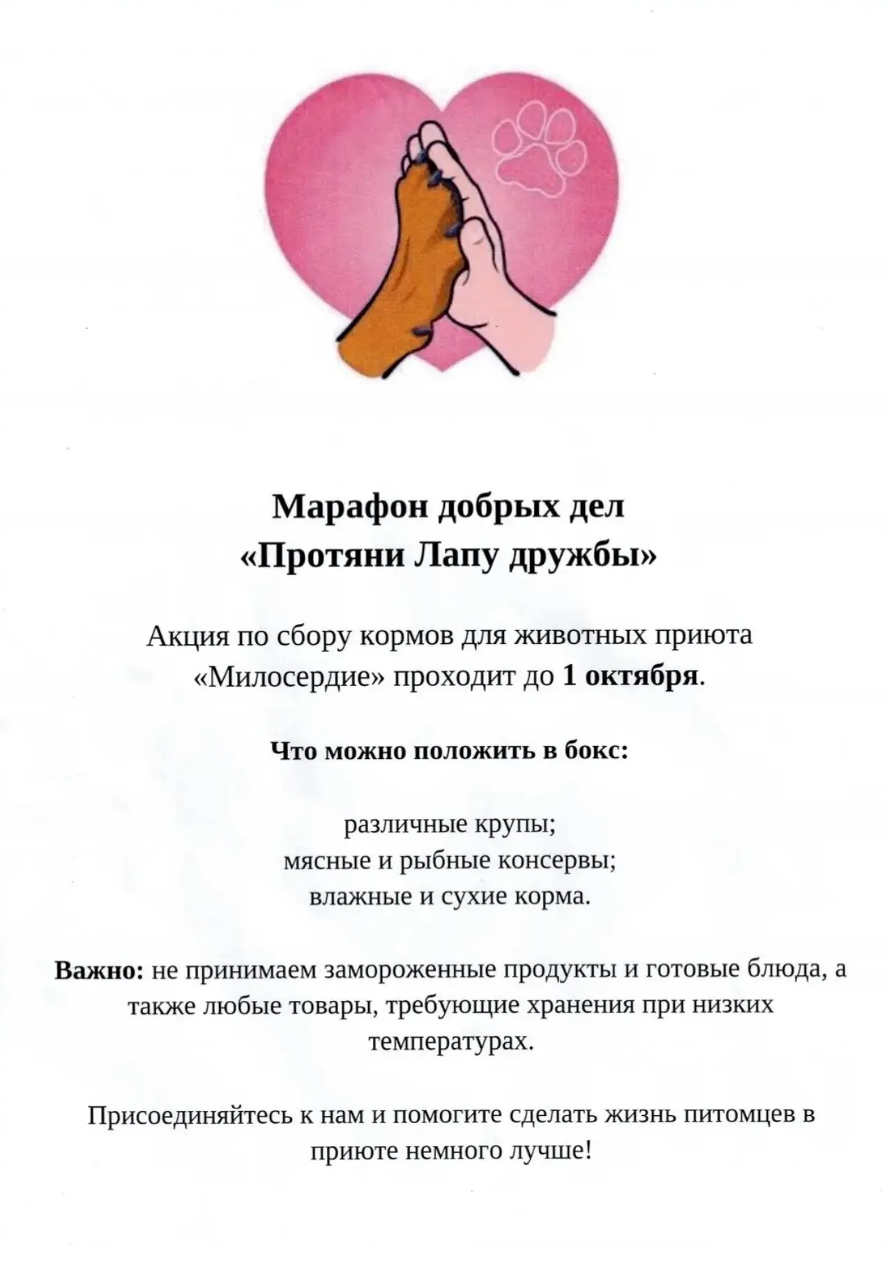 Дорогие друзья! Давайте поможем нашим хвостатым друзьям 😍