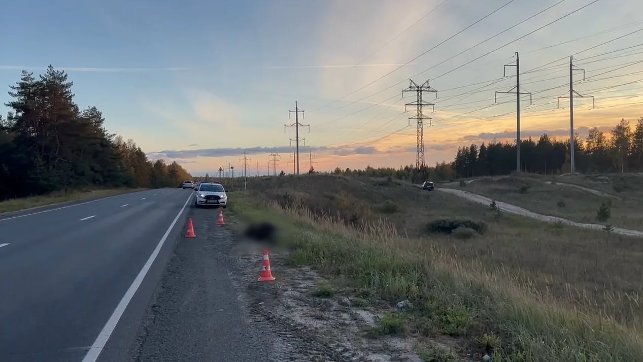 В Балахнинском округе Форд сбил лося.