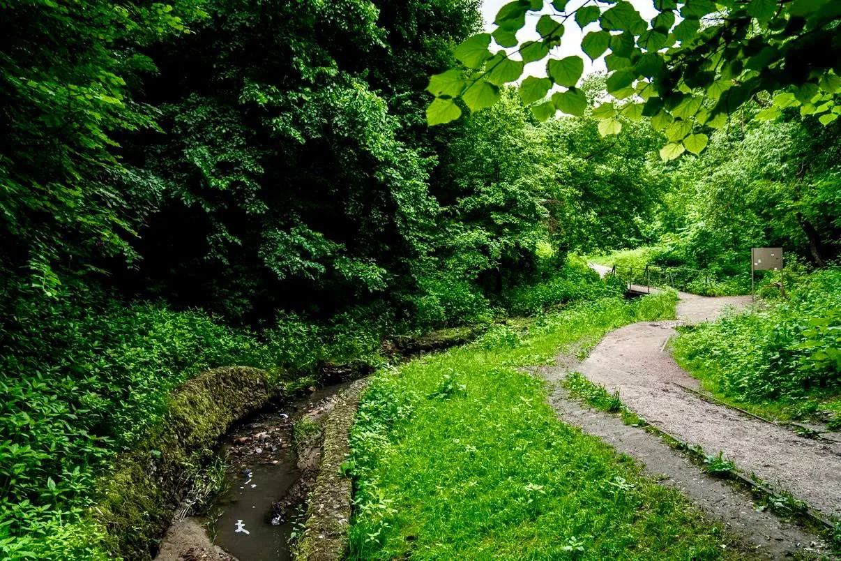 ☘️Заповедное Коломенское 🌳