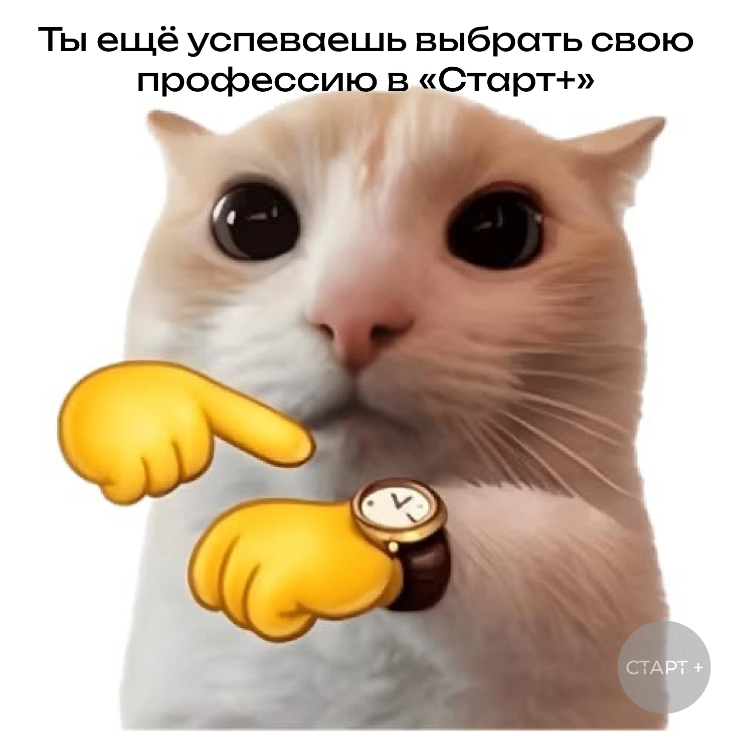 🔥 В «Старт+» проходит обучение для учащихся 10-11 классов. У ребят появилась уникальна...