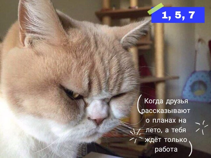 ☀ Июль уже здесь -лайкни пост и получи предсказание на самый жаркий месяц лета

Лайкните этот пост ➡