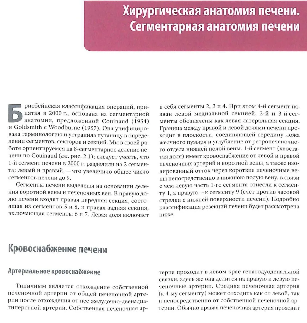 Анатомия печени