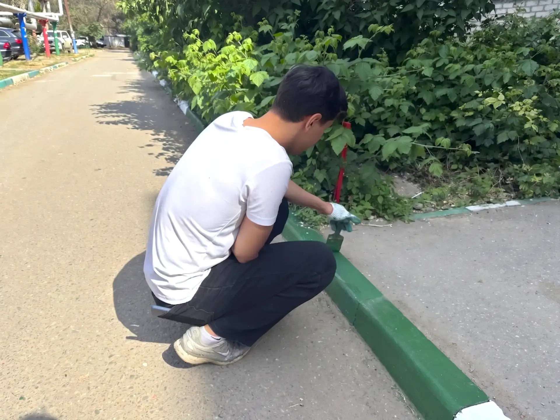 К новости «🖌️ Свежий взгляд на привычный двор!»