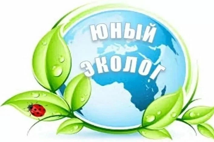 📢 Внимание, родители юных исследователей! 🌿