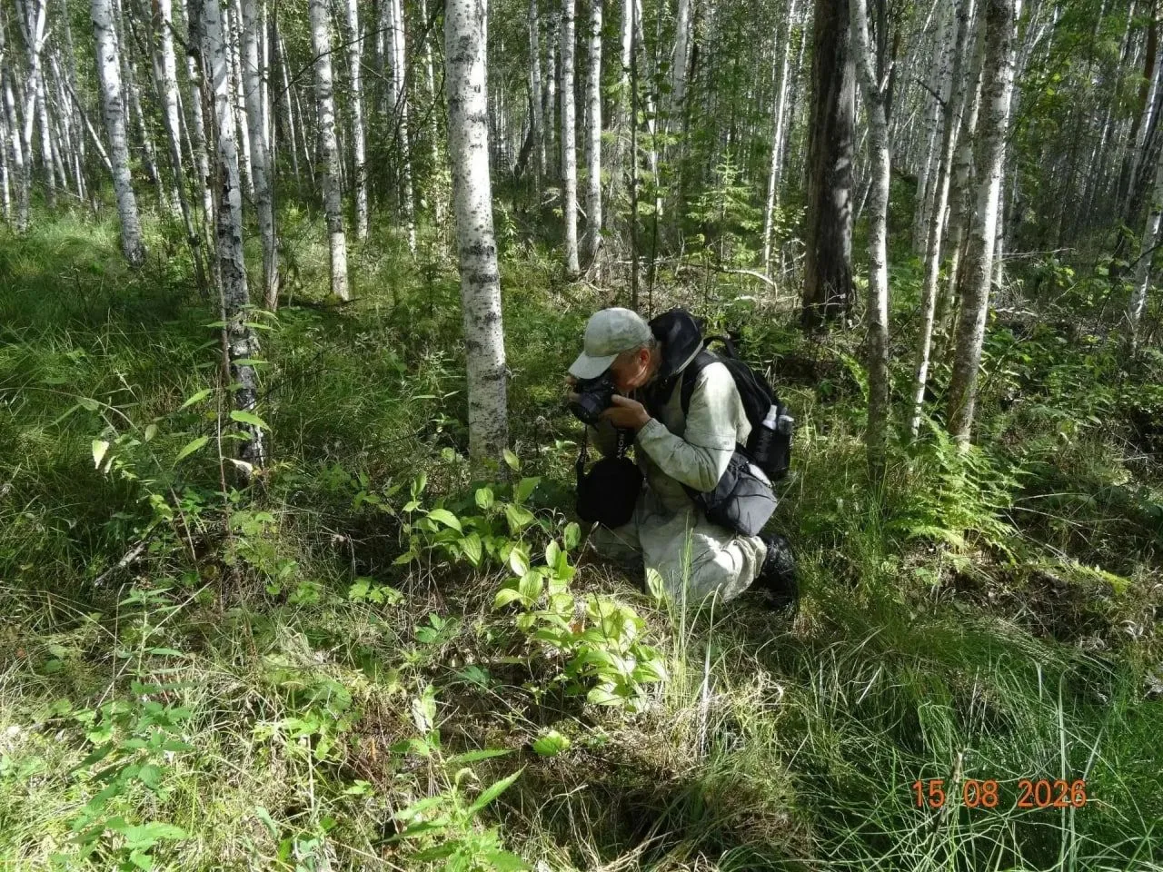 Гербарии вековой давности, GPS-навигаторы и новые поправки в закон.