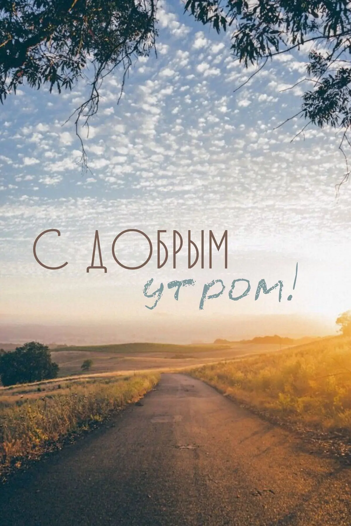 #доброеутро