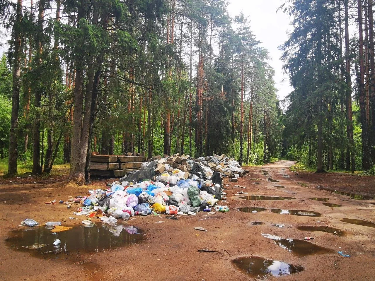 Во Всеволожском районе активными рейдами экологической милиции пресекают незаконные свалки