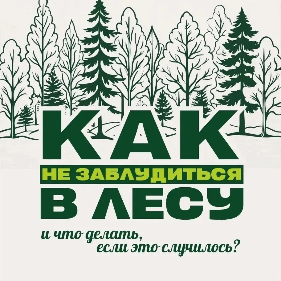 🌳 Тёплые выходные — повод сходить в лес за грибами, но перед этим важно вспомнить прос...