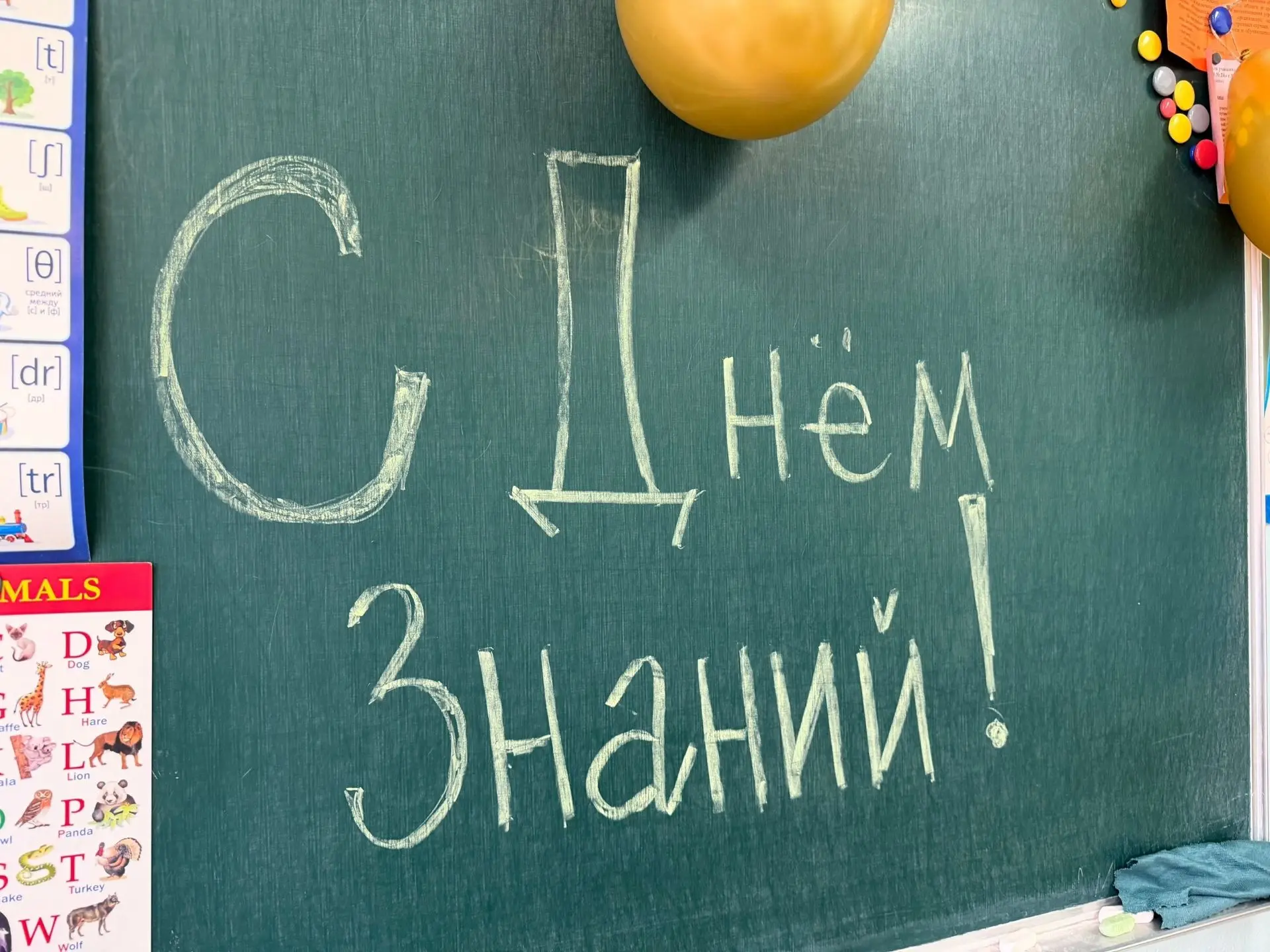 Начало нового учебного года для наших первоклассников получилось по-настоящему сказочны...