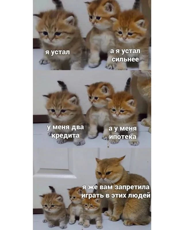 Это мой почти самый любимый мем 🤣