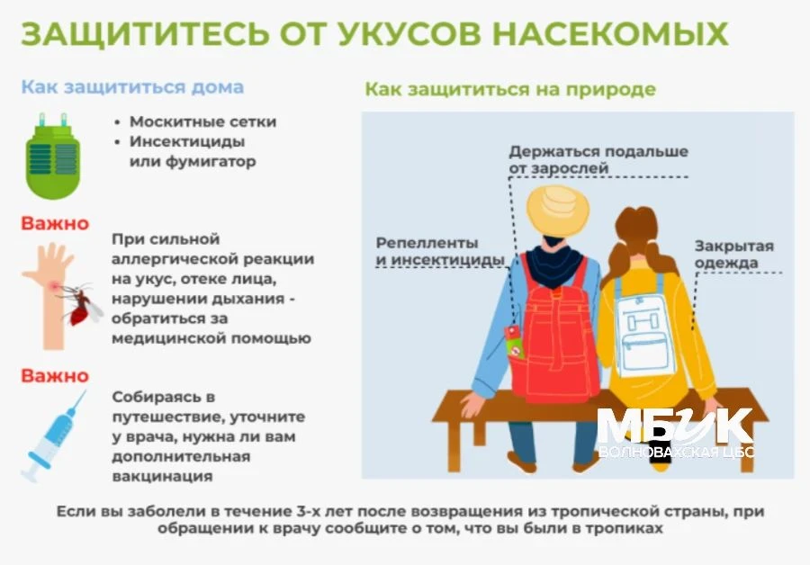 🦟 Комары — не просто надоедливые насекомые: они могут переносить инфекции. Рассказывае...
