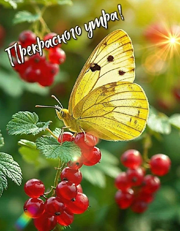 🌷 Открытки подписаться 👈