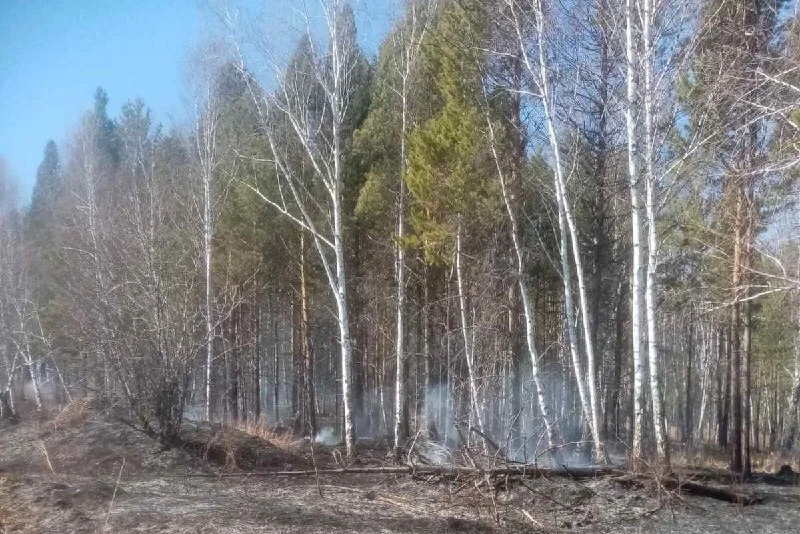 Огонь не прощает ошибок. К сожалению, статистика неумолима: большинство возгораний вбли...