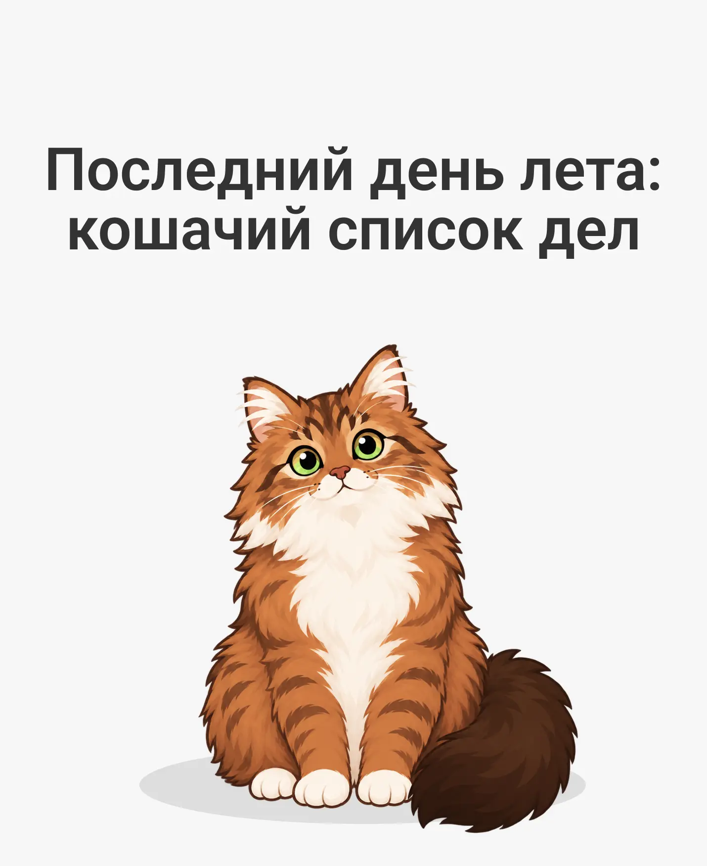 Как провести последний день лета? 🐾