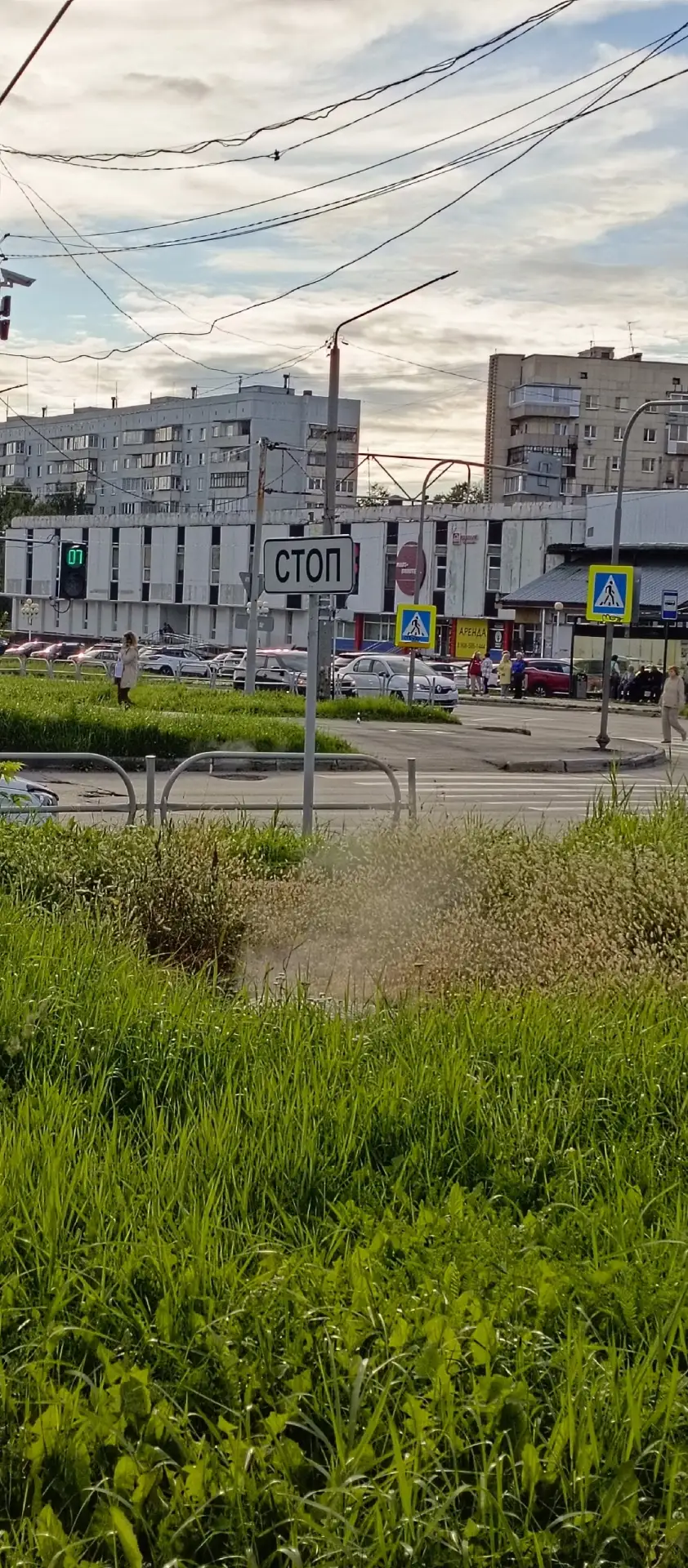 Интересно, когда гейзер заработает с большей силой? 🤔 Даже трава обварилась от пара, ч...