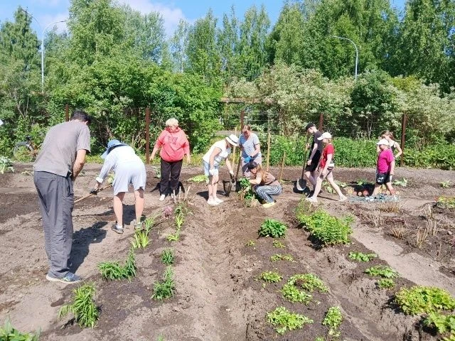 Трудовая бригада школы закончила сезон работ по благоустройству территории. За время практики учащие