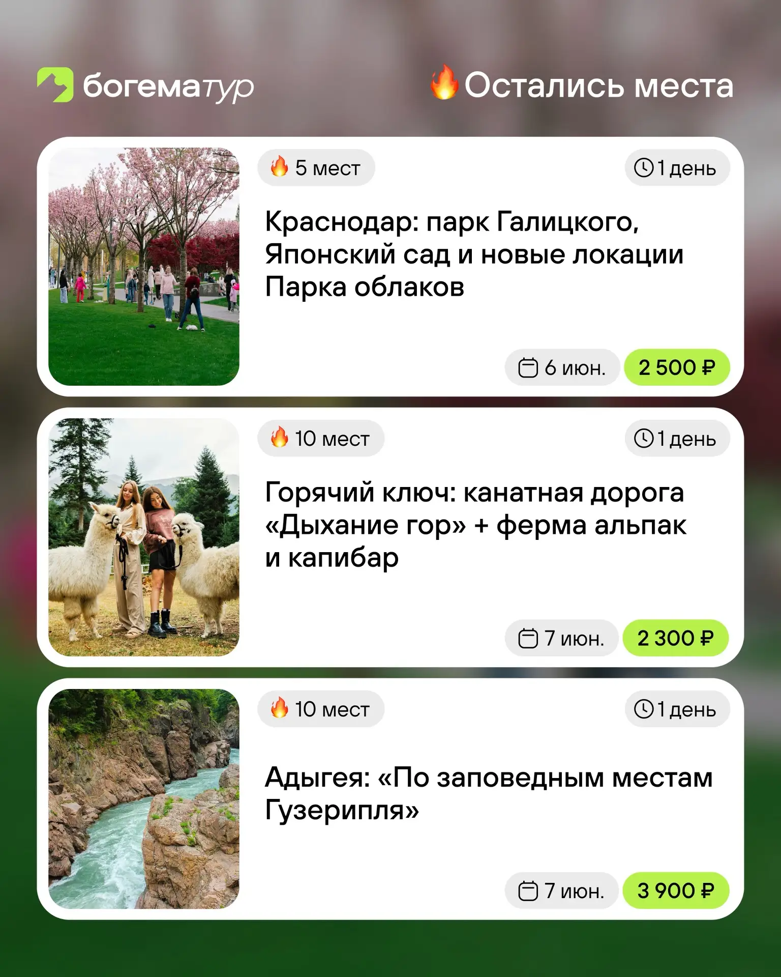 Куда отправиться на этих выходных?