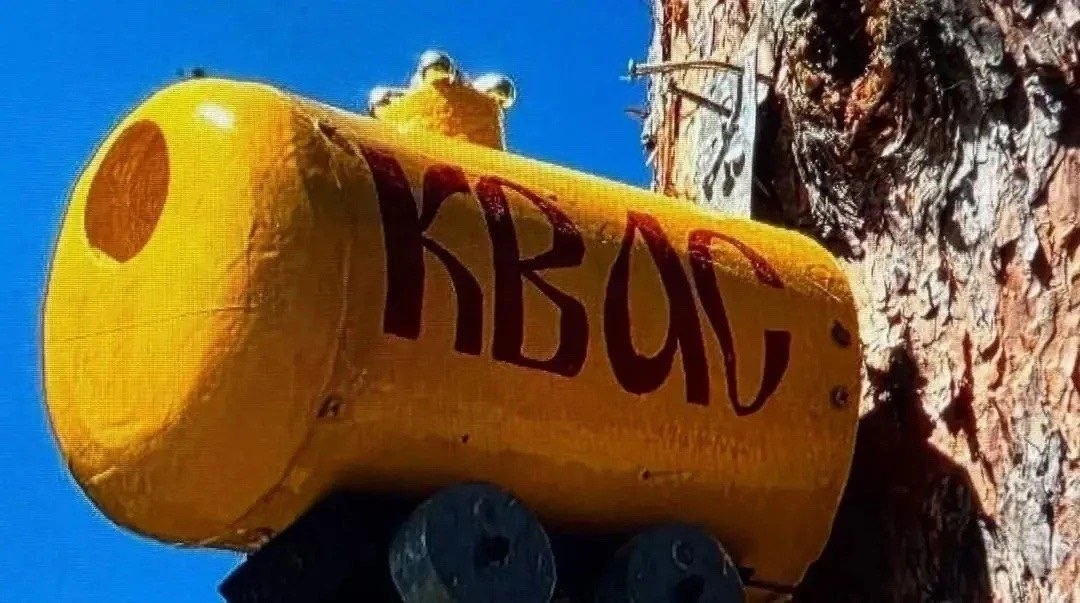 🐦 Креативные скворечники из упаковок от продуктов появились под Красногорском