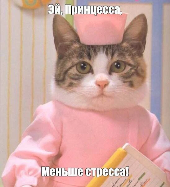 В семь часов вечера дружно все закрываем компьютеры и идем отдыхать!