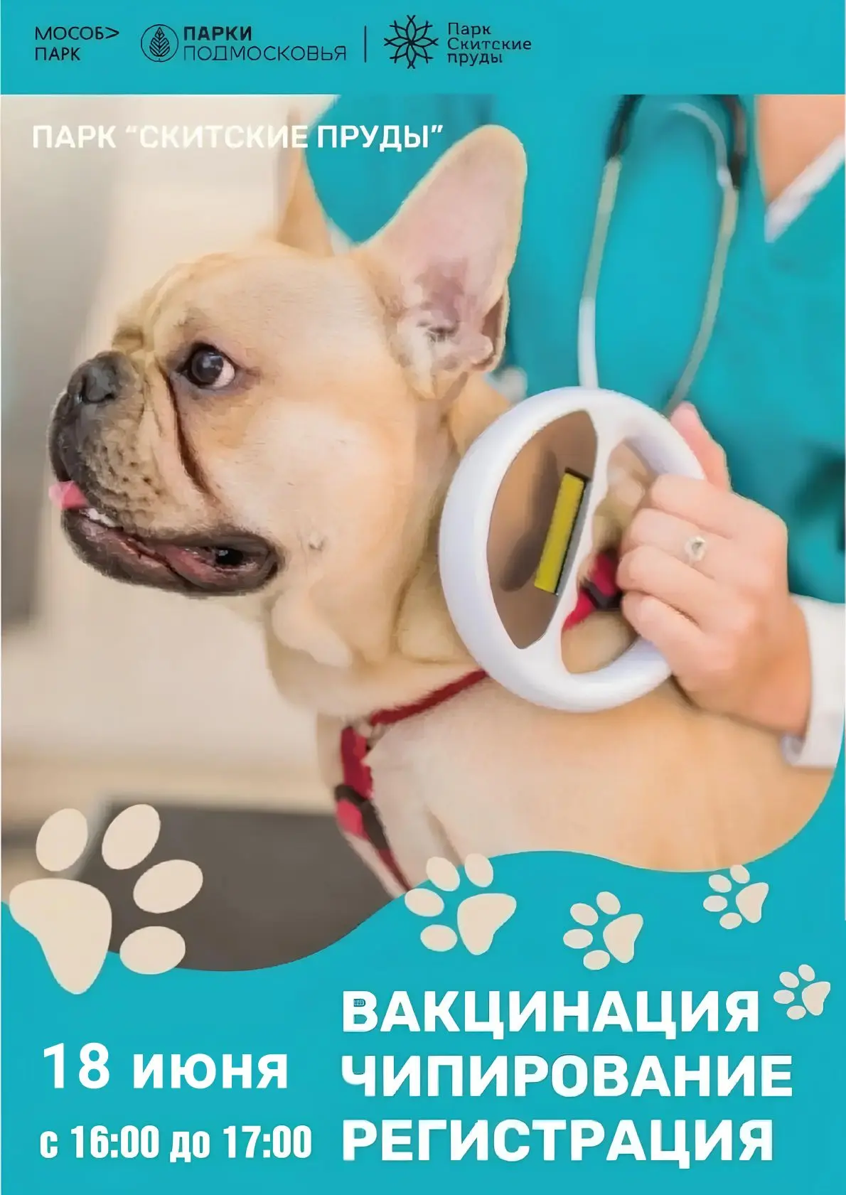 🐶Парк «Скитские пруды» приглашает на вакцинацию и чипирование🐶

Если вы хотите обеспечить безопасн