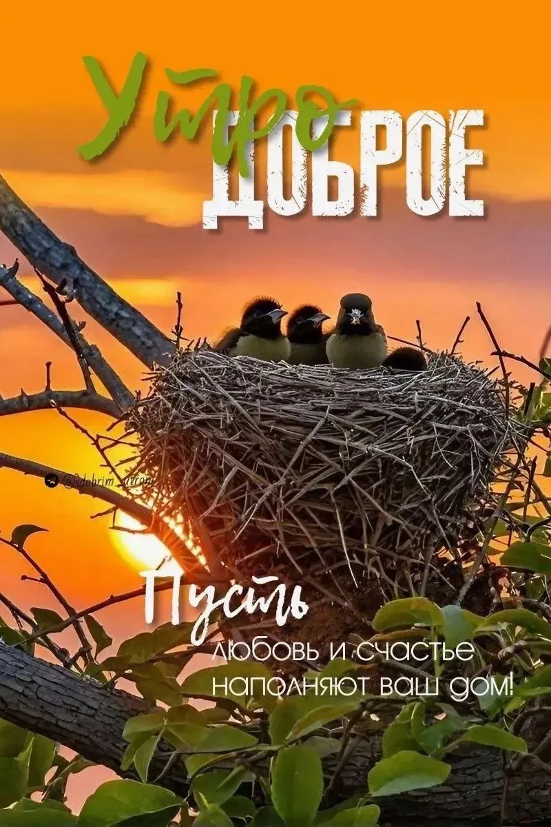 💌 Добрые открытки! Подписаться