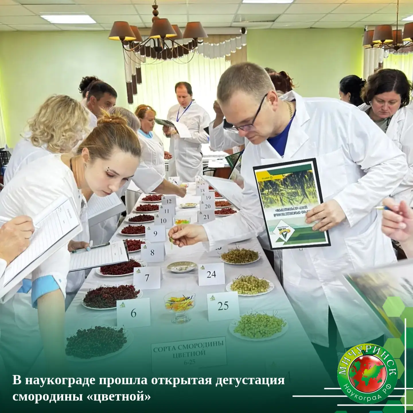 📝 В наукограде прошла открытая дегустация смородины «цветной»